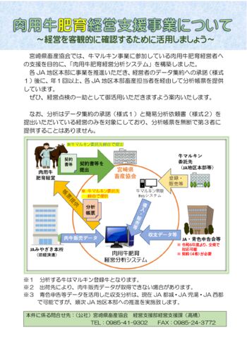 hiiku-shienのサムネイル